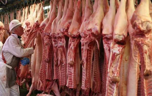 Hasta Junio se mantendrán las afectaciones en el sector porcícola global por el Covid – 19