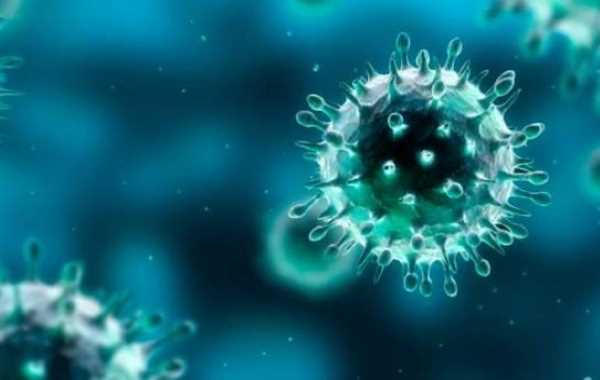 Virus detectado en cerdos en China no pone en riesgo producción porcina del Perú