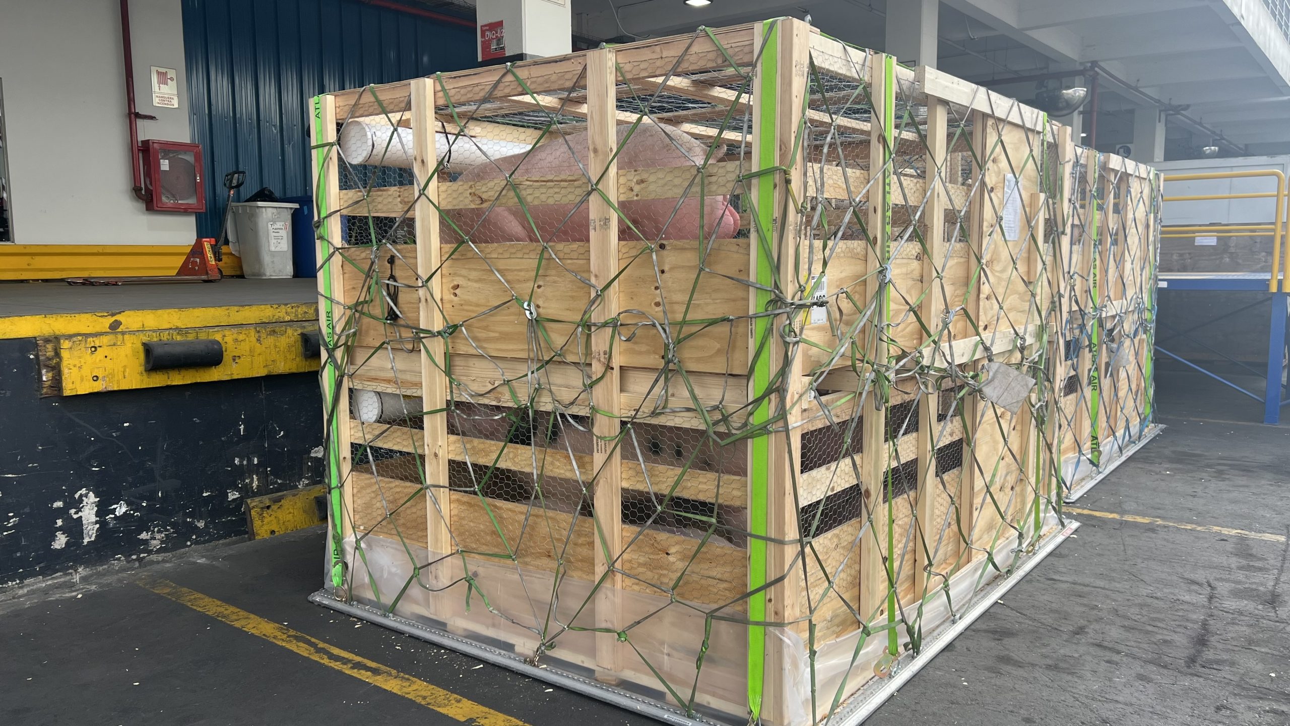 PIC Perú realiza importación de reproductores de alto valor genético