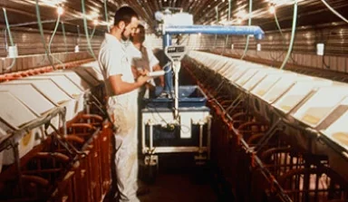 Técnicos registrando datos en una granja